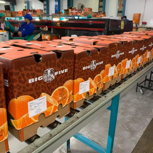 Citrus from a South African growing partner with the Big Five label.