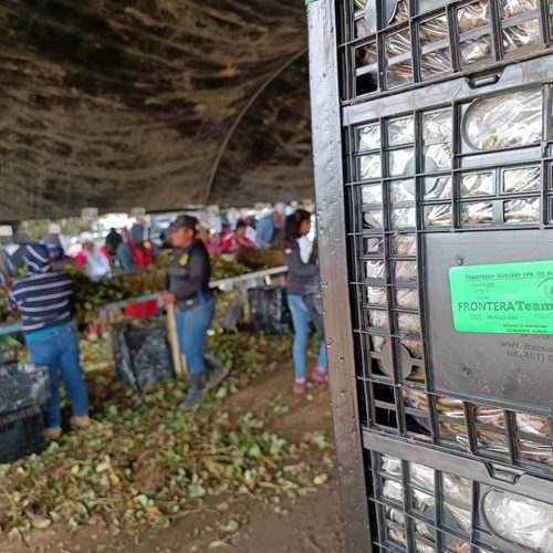 One of the Lange partners farming in a field.