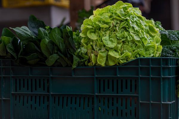 A crate of bright and dark leafy greens