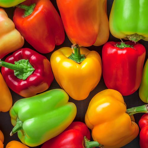 Close-up colorful red, yellow, and green bell peppers shot from overhead.