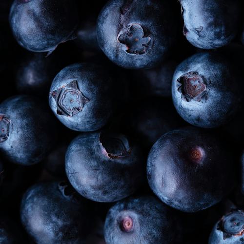 Close-up shot of ripe blueberries filling the frame.