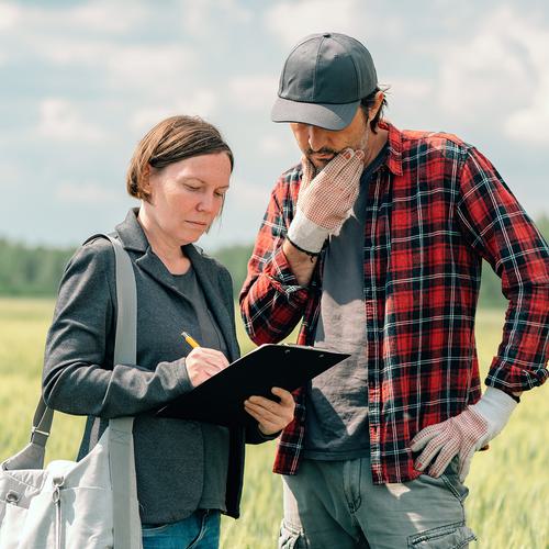 A farmer and inspector stand in a bright, sun-filled field of crops. They both look thoughtfully at a clipboard the inspector is holding.