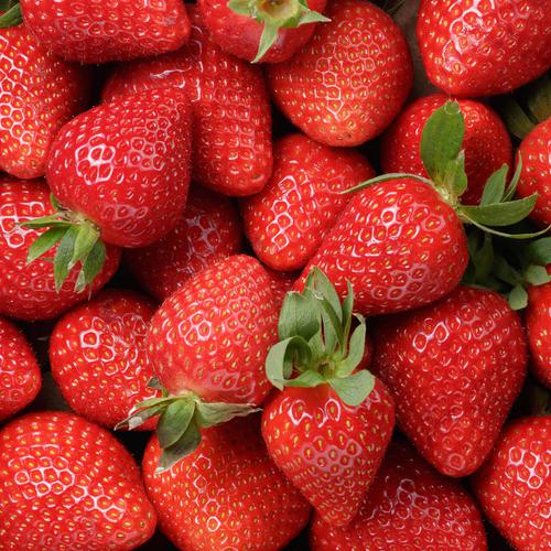 A bright red bunch of fresh strawberries, with splashes of green stems peppered throughout