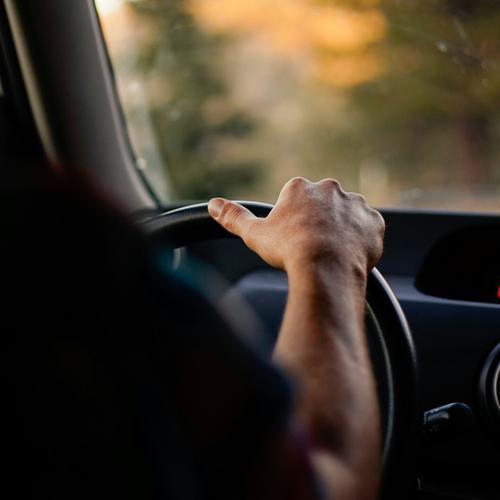 An image of a person driving a car through a forest at sunset, taken from over the shoulder of the driver.