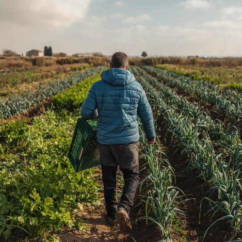 A farmer in a blue puffy coat walks through the field with an empty bin.
